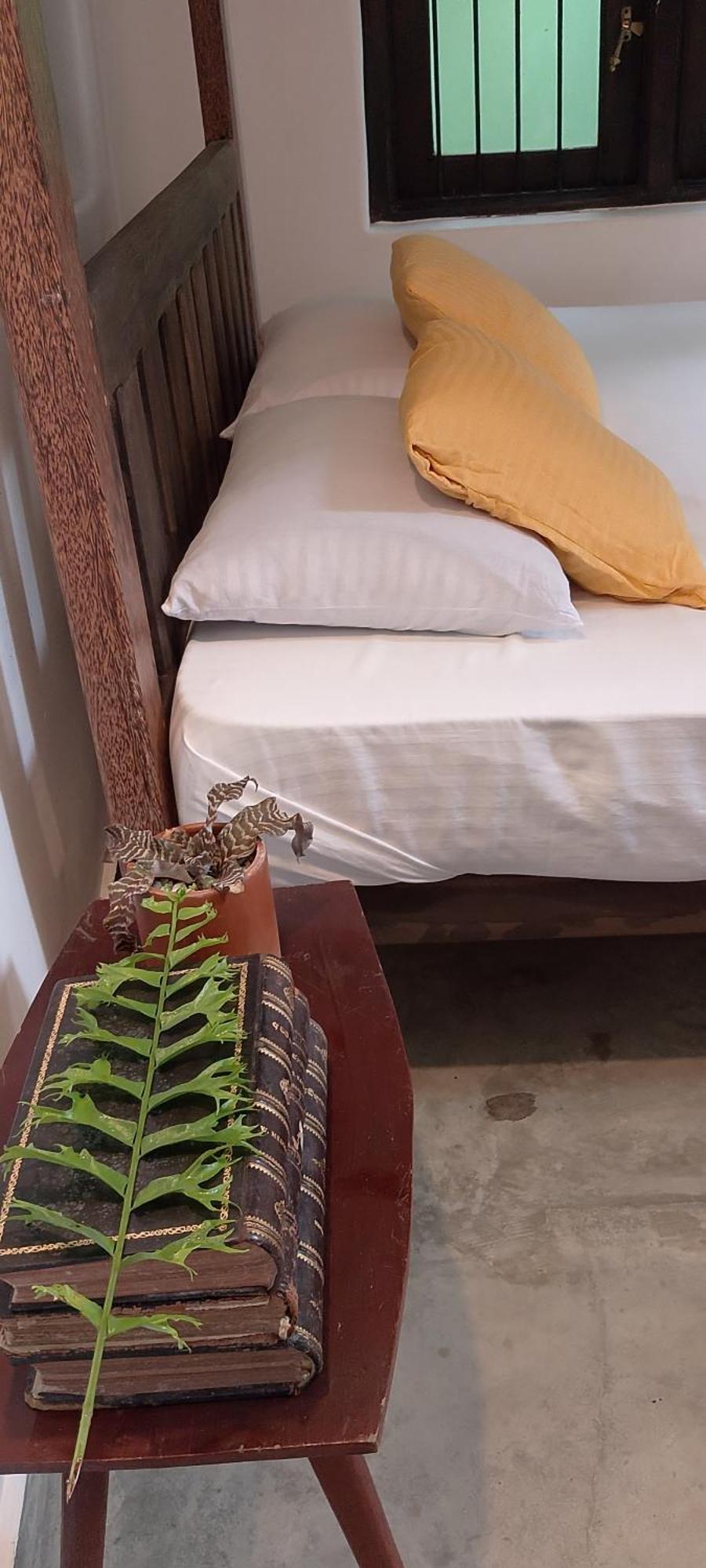 Riverston Nature Villa Rattota Екстериор снимка